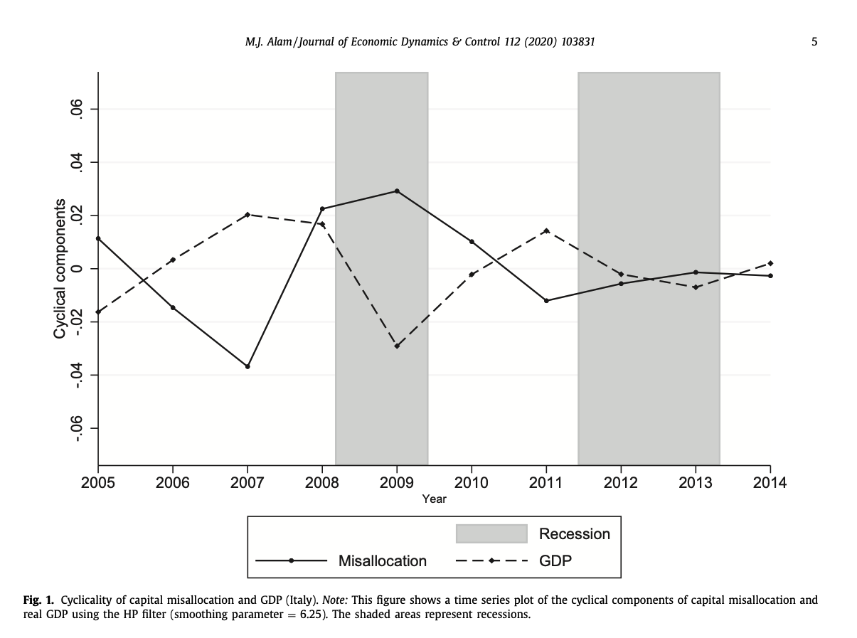 Capital Misallocation Article
